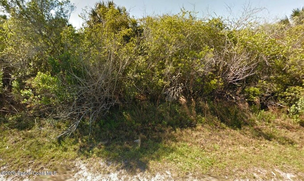Picture 3