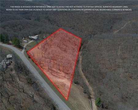 Scenic Land Overlooking Beaver Lake