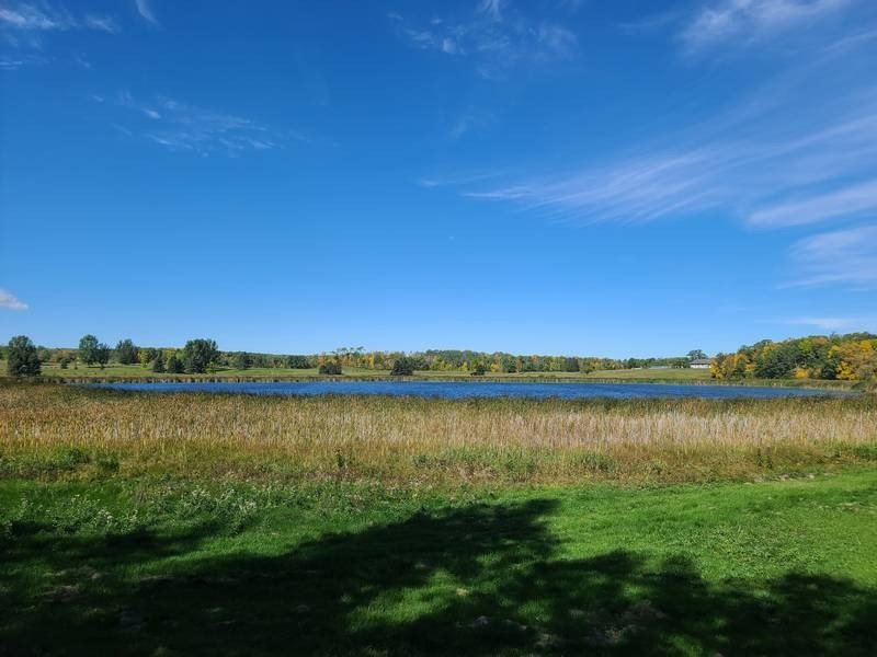 Wooded Lot Near Golf Course