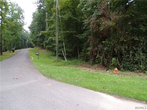 LAND - Fayette, AL