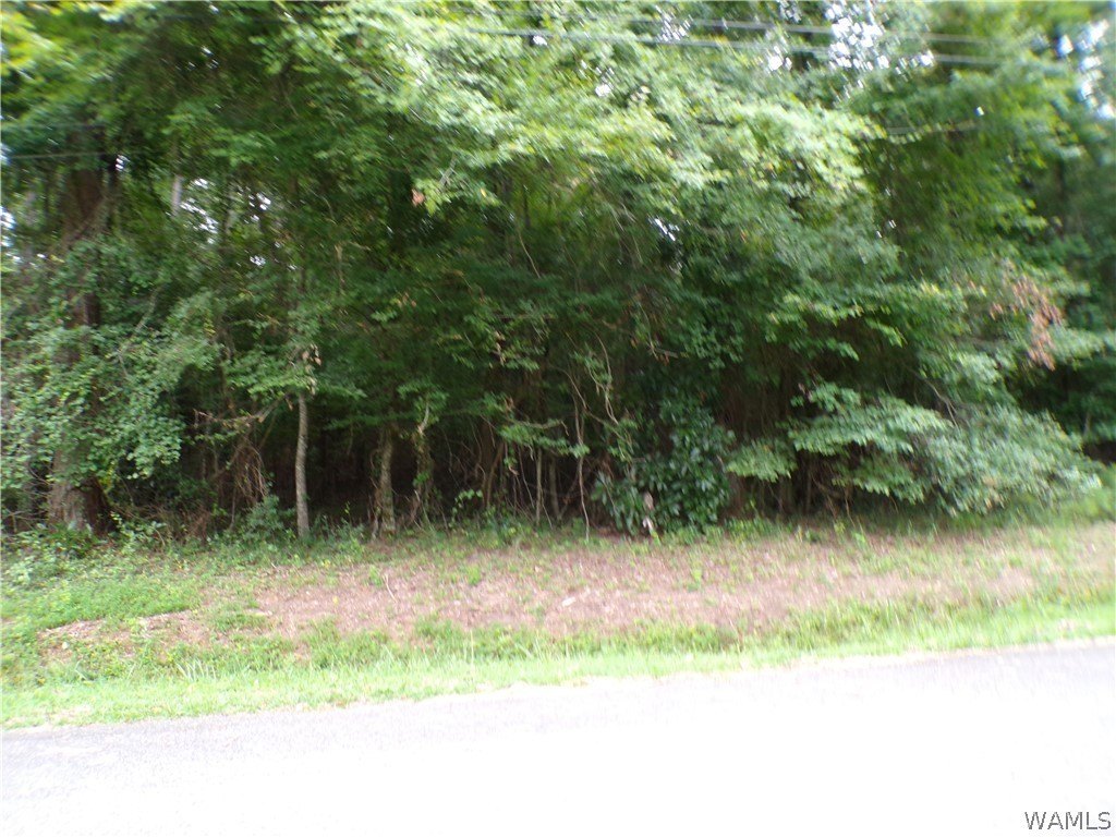 Picture 3