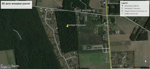 Millsboro, DE Wooded Land Parcel