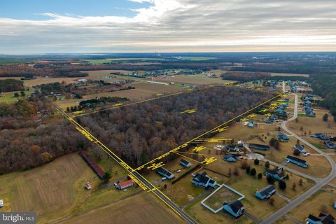 Millsboro Wooded Parcel For Sale