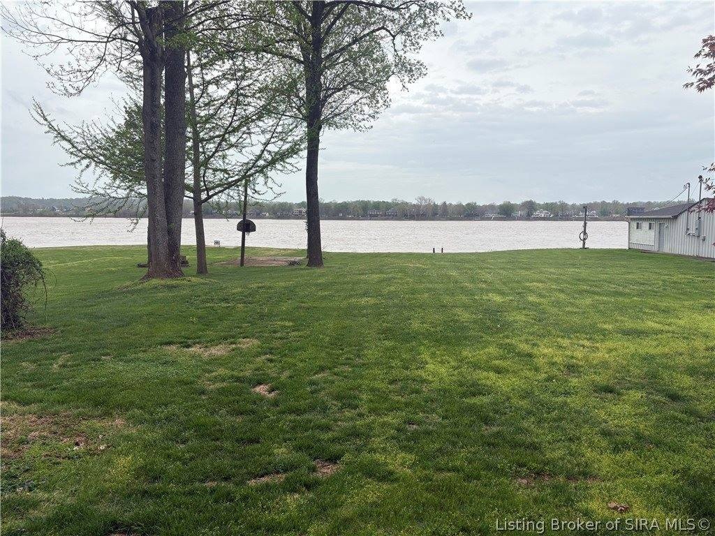 Picture 7