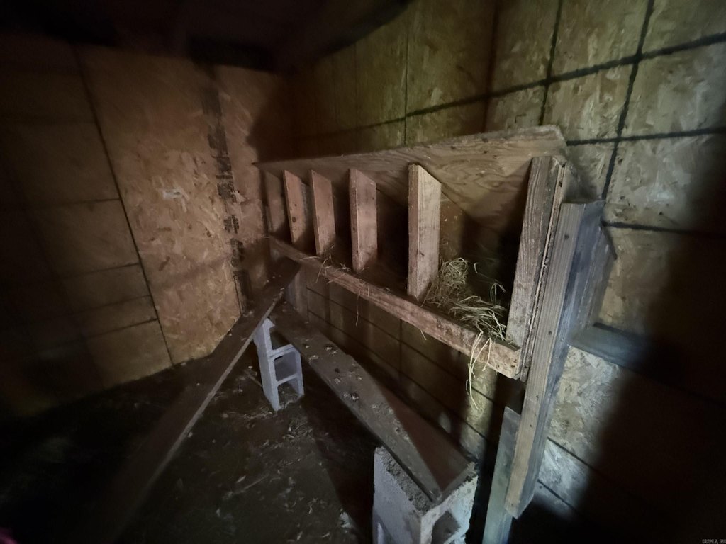 Picture 27