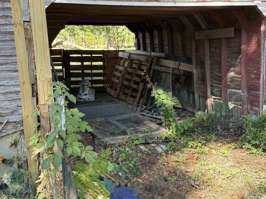 Picture 19