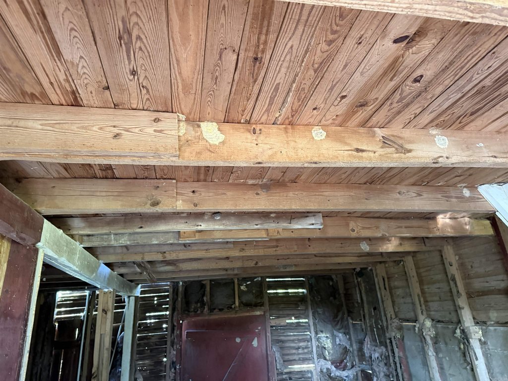 Picture 23