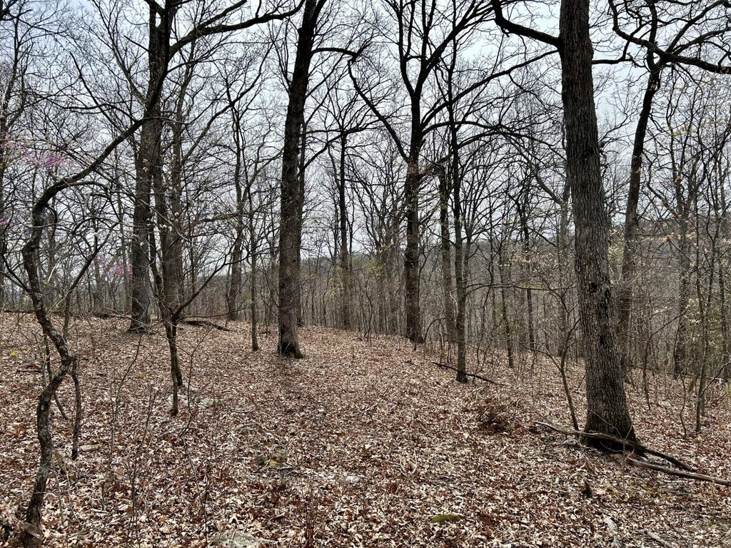 Picture 24