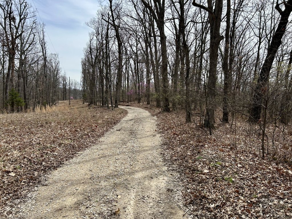 Picture 21