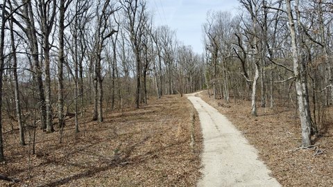 Secluded Timber Land For Sale