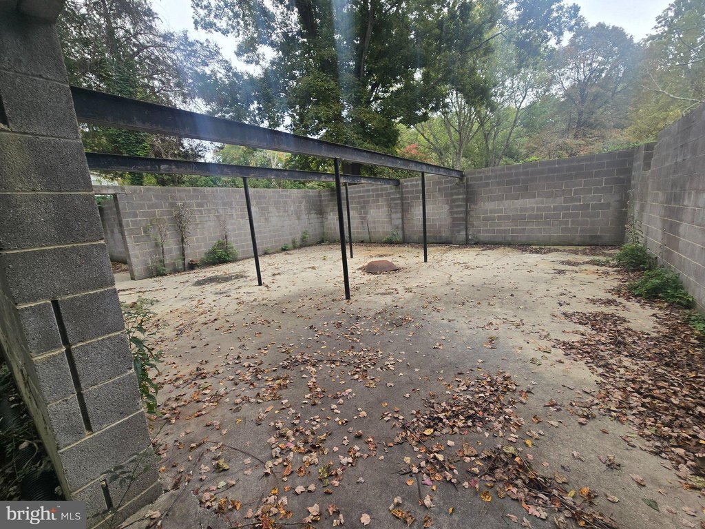 Picture 5