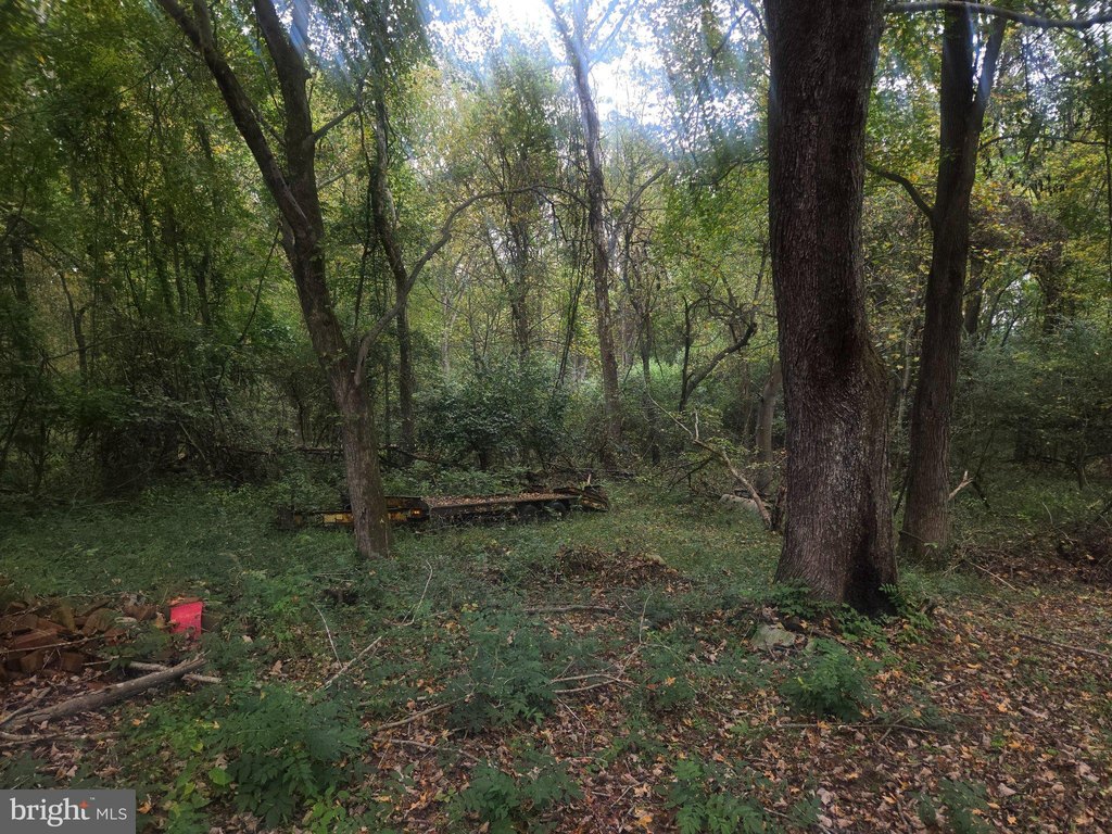 Picture 9
