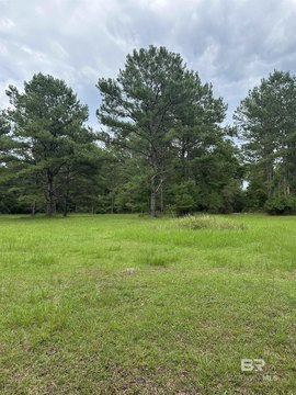 LAND - Bay Minette, AL