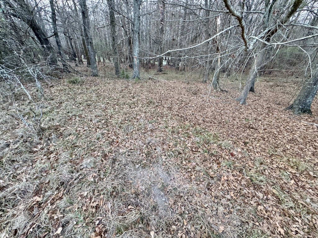 Picture 40