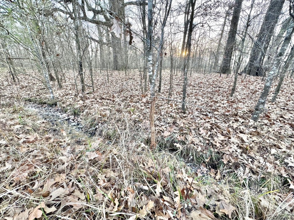 Picture 31