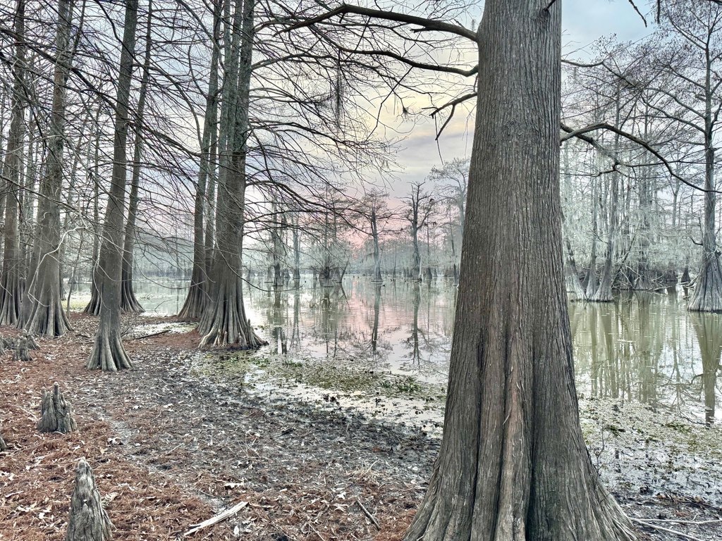 Picture 48