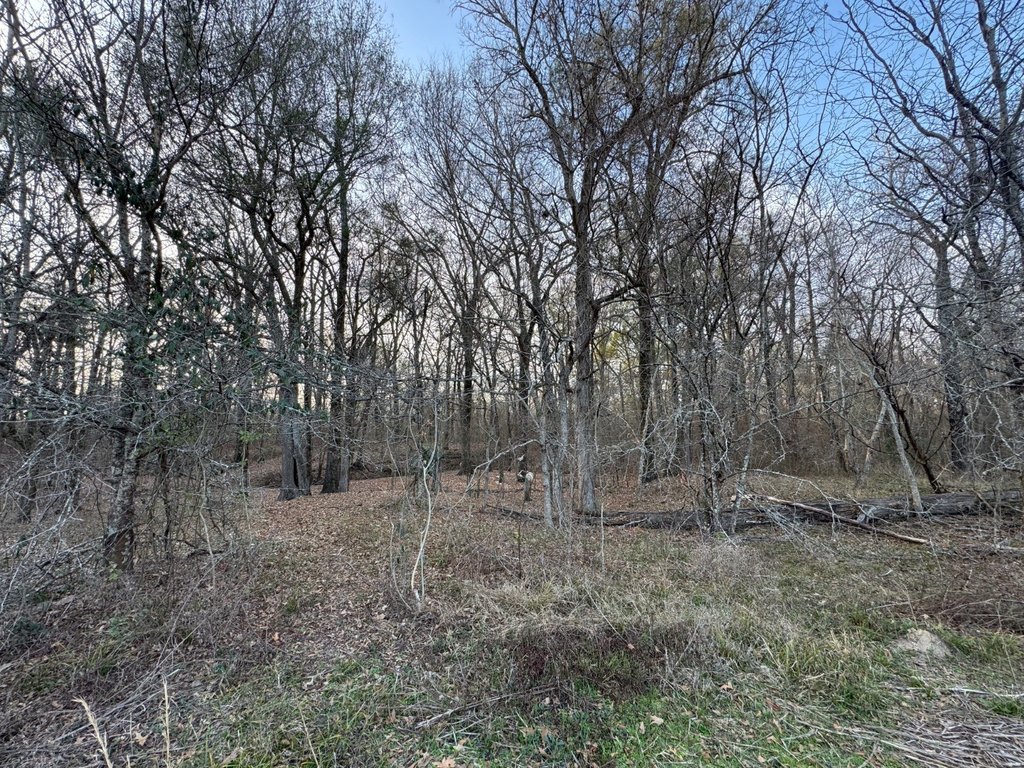 Picture 15