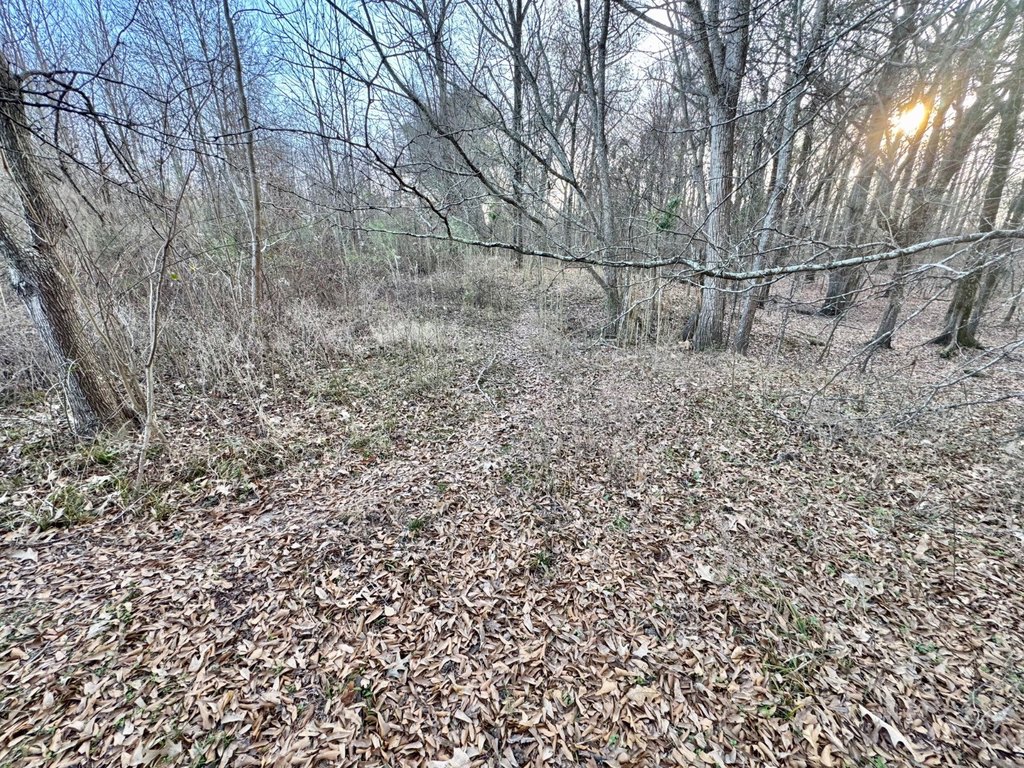 Picture 16