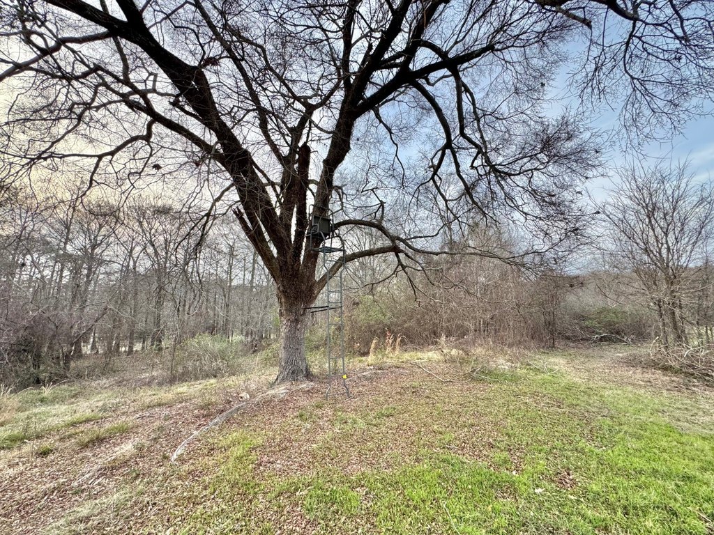 Picture 44