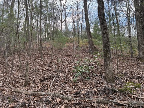 Reliance, TN Land For Sale