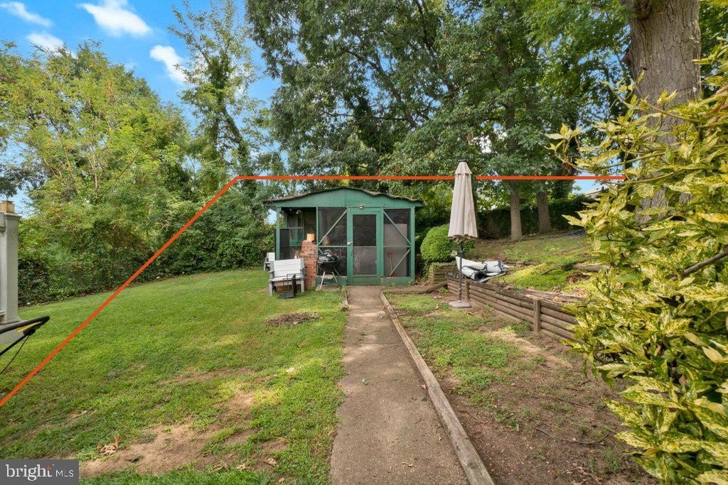 Picture 5