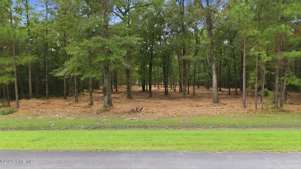 Picture 16