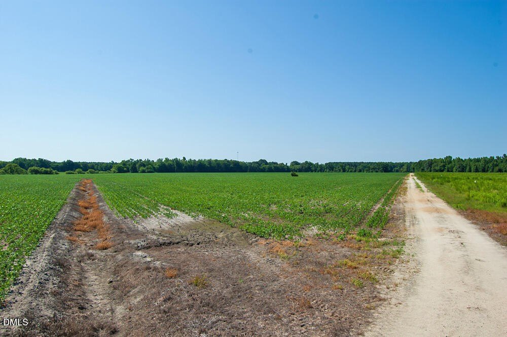 Picture 37