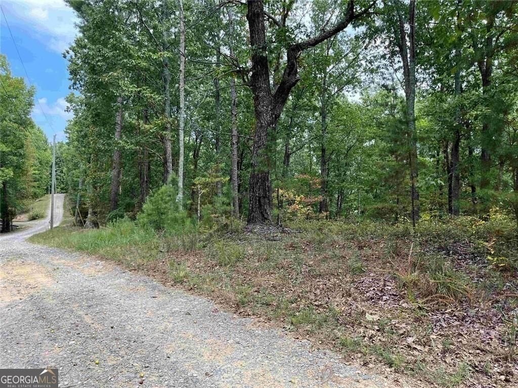 Wooded Lot in Talking Rock