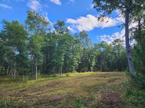 Land, Irons, MI
