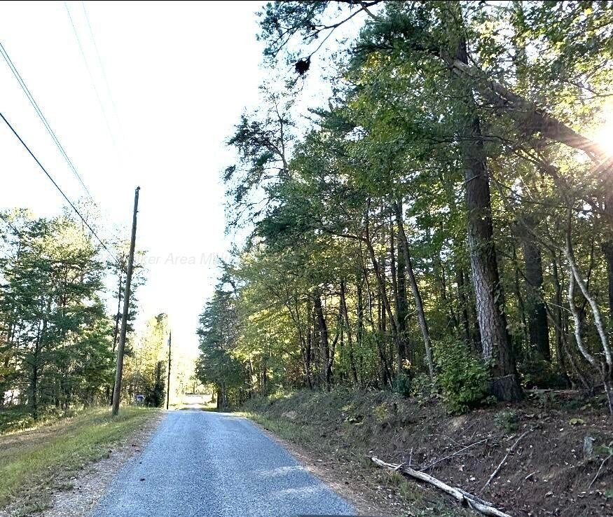Unrestricted Wooded Lots Near Smith Lake