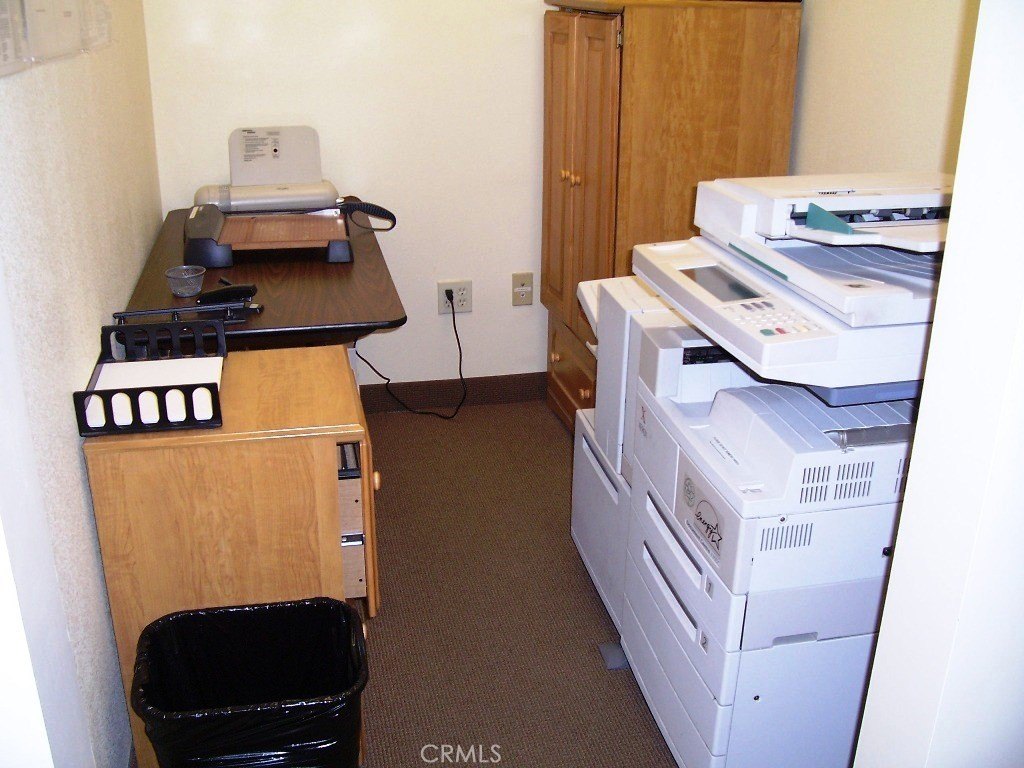 Picture 12