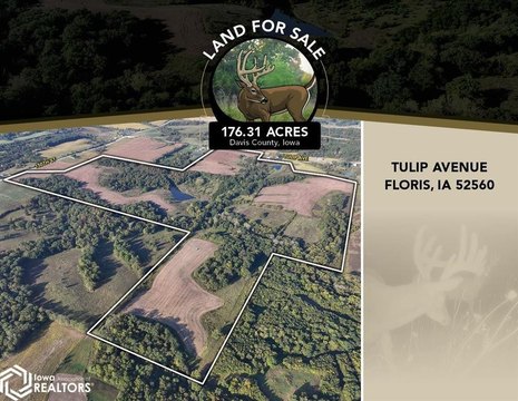 Recreational Farm with Income Potential