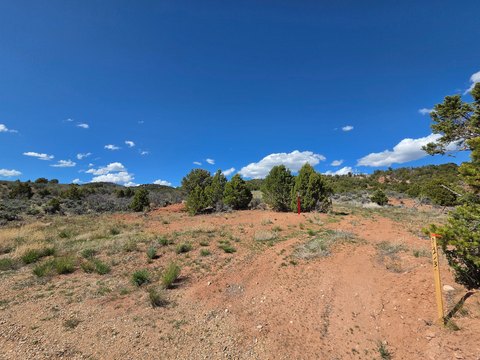 Recreational Horse Ranch Land