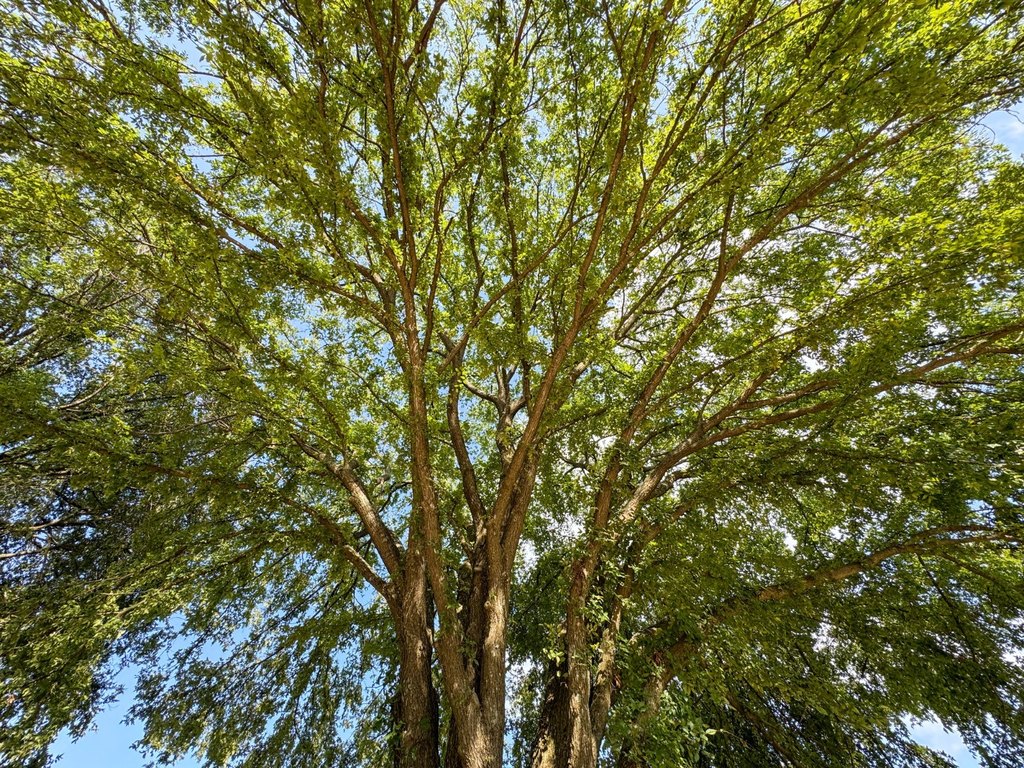 Picture 23