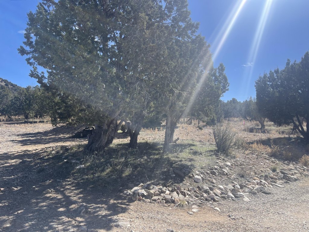 Picture 24