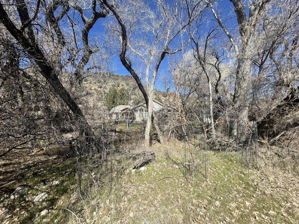 Picture 29