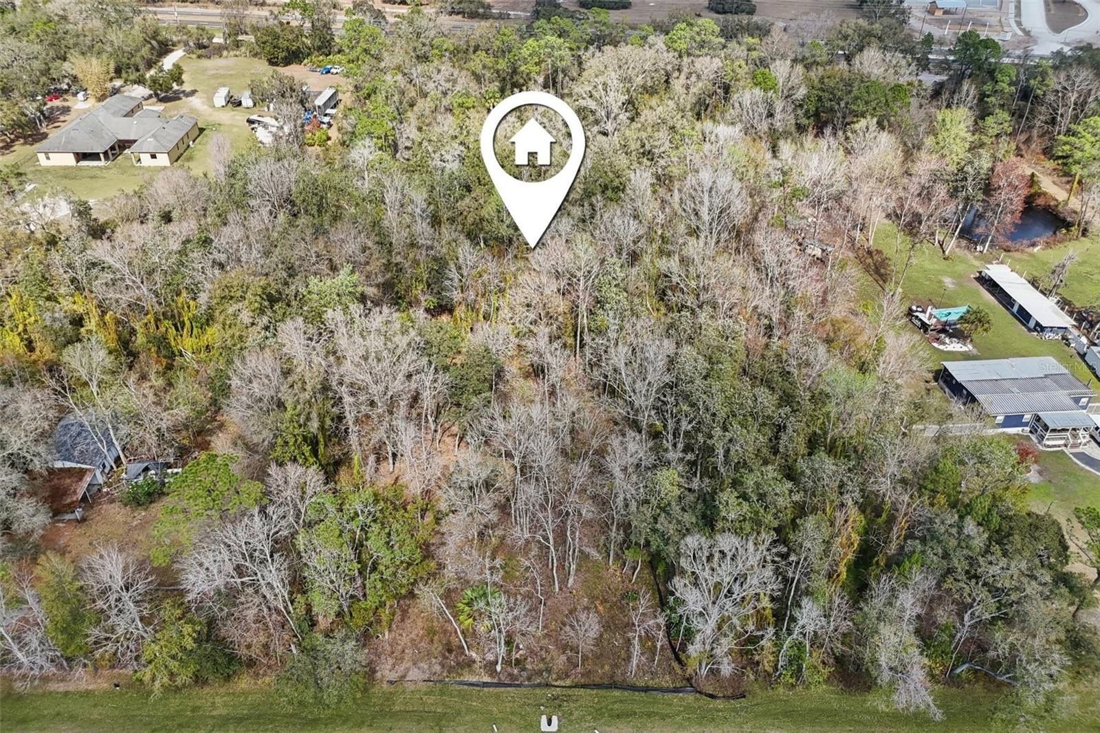Expansive Wooded Lot in Orlando