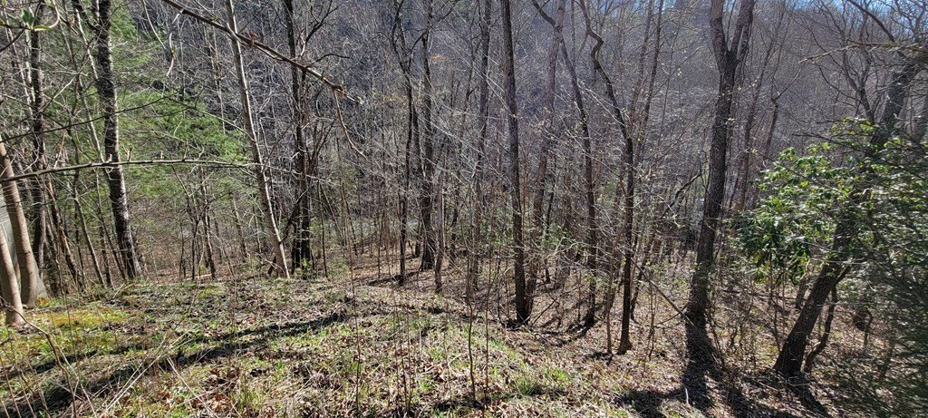 Picture 10