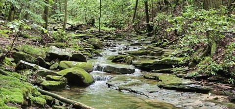 Creekside Waterfront Land