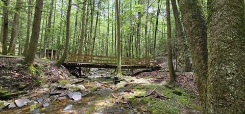 Creek Frontage Land in Dunlap