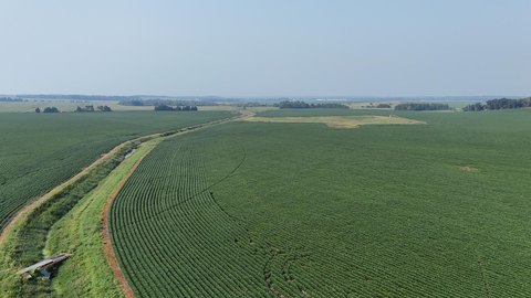 Irrigated Agricultural Land Parcel