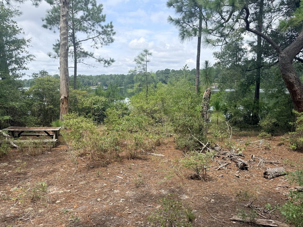 Picture 15