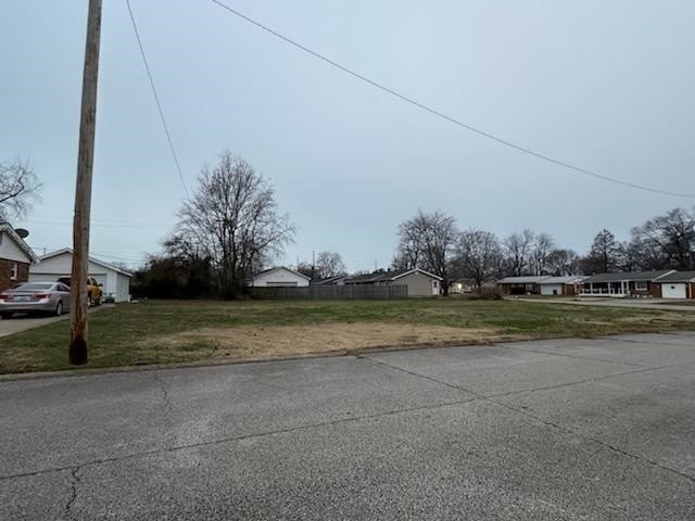 Picture 6