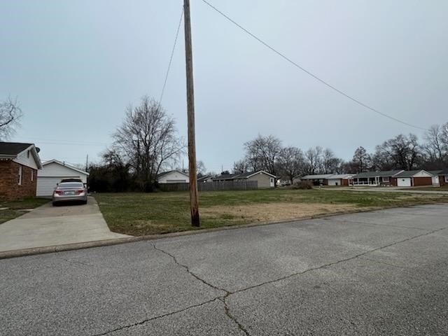 Picture 5