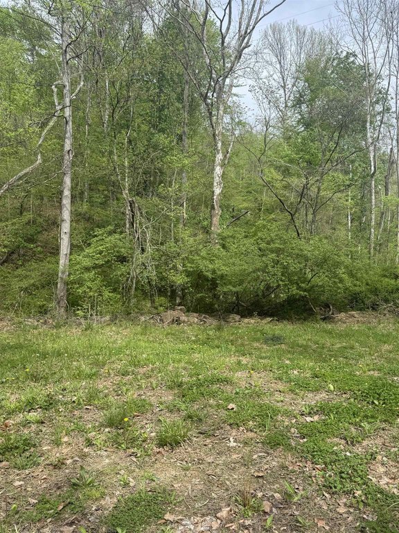 Picture 6