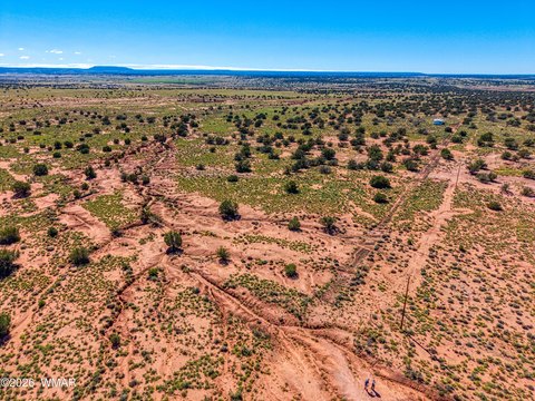 Land, Concho, AZ