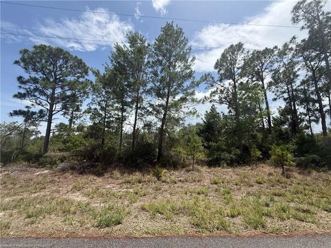 LAND - Lake Placid, FL