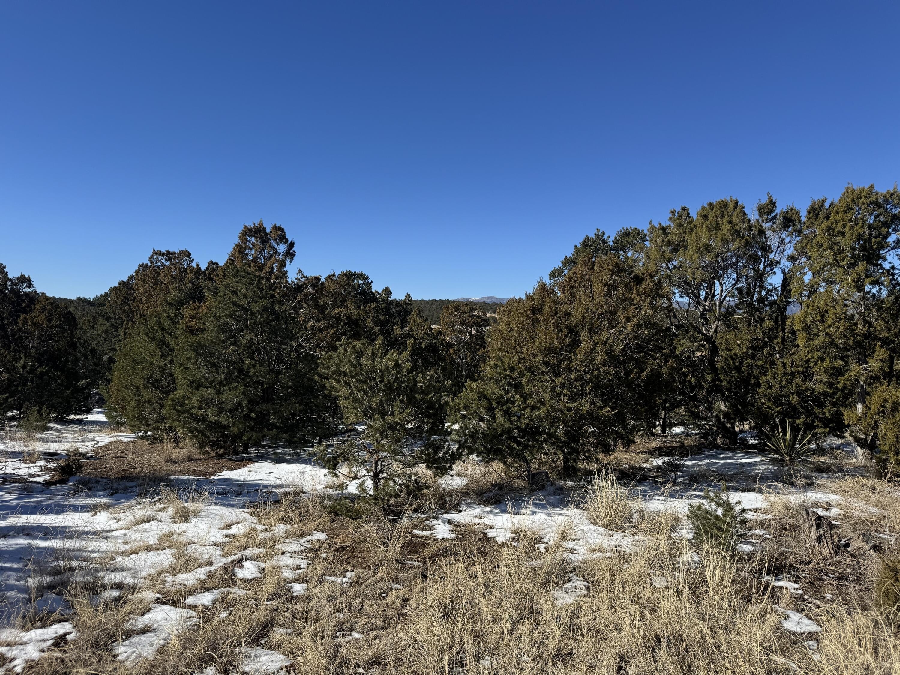 Two-Acre Lot in Tijeras, NM