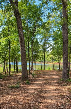 Land, Quitman, TX