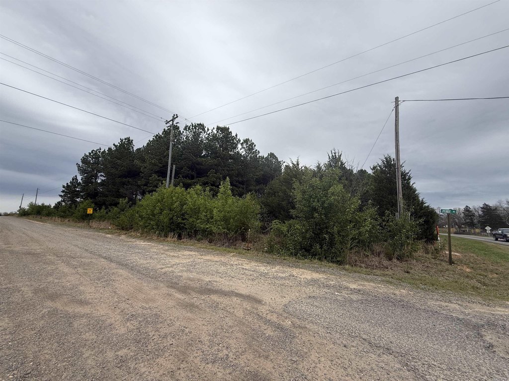 Picture 26